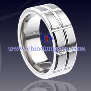 Tungsten karbid ring bild