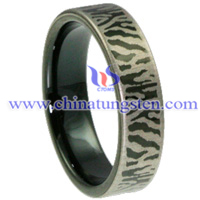 Tungsten karbid ring bild