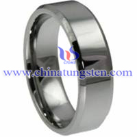 Faceted Tungsten Carbide Ring Picture