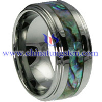 Tungsten Carbide Ring Picture