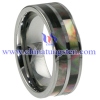 Shell Tungsten Carbide Ring Picture