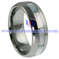 Tungsten Carbide Ring Picture