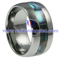 Shell Tungsten Carbide Ring Picture