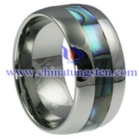 Tungsten Carbide Ring Picture